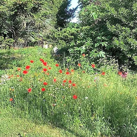 Du Merle فندق مبيت وإفطار