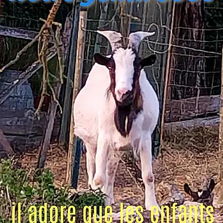 Du Merle 3* Illats